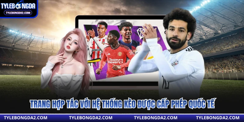 Trang hợp tác với hệ thống kèo được cấp phép quốc tế